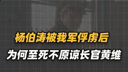 红墙往事 杨伯涛被我军俘虏后，为何憎恨长官黄维，至死都不肯原谅