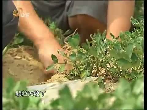 山东新闻联播 《山东新闻联播》 20140712