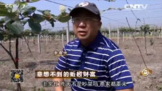 致富经 [致富经]意想不到的蚯蚓财富 20160621