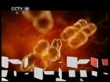 健康之路 《健康之路》 20110620 胎儿的旅行（上）