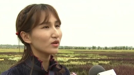 第一时间 中秋到 小长假稻田画吸睛