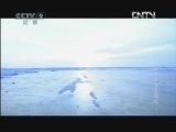 《精彩放送》 20121008 东亚生态大勘探 第一集