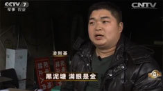 致富经 [致富经]黑泥塘 满眼是金 20160421
