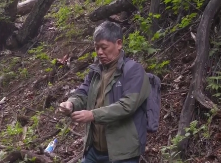 寻情记 龙勇诚·父爱如山“猴爸爸”