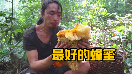 原始丛林人苏门答腊 第二季 丛林荒野求生，冒险获取野生蜂蜜，怎样吃它会最好！