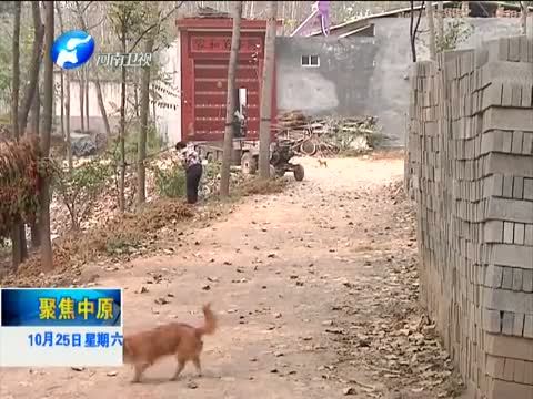 聚焦中原 《聚焦中原》 20141025 许会峰：“五个一工程”背后的坚守人生