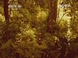 地理中国 《地理中国》 20140718 岭南秘境——“鬼山”之谜（上）