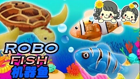 【中国爸爸】日本食玩 机器鱼机器龟！游起水来嗖嗖哒