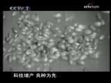 社稷 社稷 第4集 科技丰碑