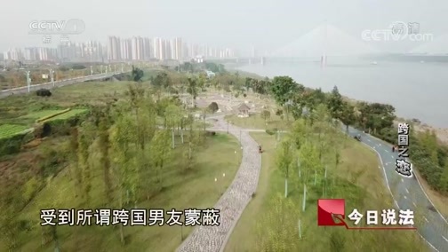 今日说法 《今日说法》 20181222 跨国之“恋”