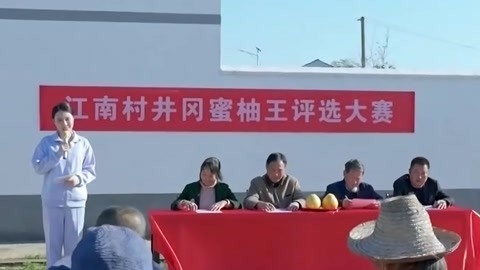 江南村井岗蜜柚王评选大赛 村子通过柚子脱贫致富