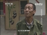 地理中国 《地理中国》 20131027 秘境零距离-迷幻神仙山（下）