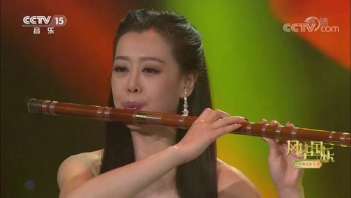 风华国乐 《风华国乐》 20190528 22:16