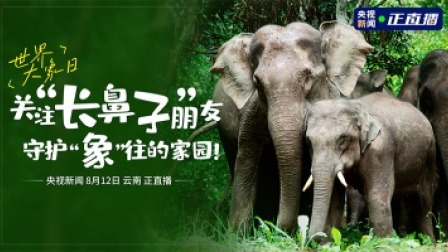 世界大象日｜关注“长鼻子”朋友 守护“象”往的家园！
