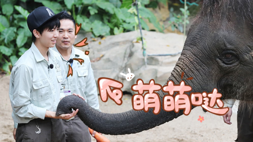 第10期：张一山坐危楼吓哭