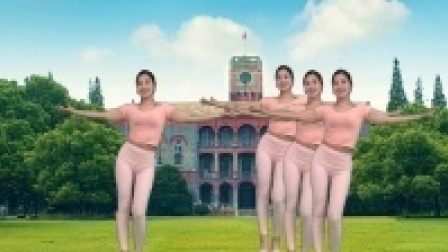 最新32步广场舞《想你的夜我睡不着》附分解