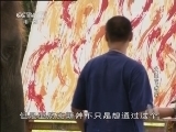 动物世界 《世界纪录电影长廊》 20131230 动物世界：大象艺术家