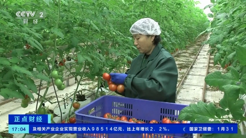 《正点财经》 20210201 17:00