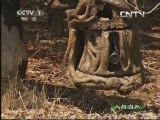 人与自然 《人与自然》 20130918 自然故事 深入虎穴之三 再见了 妈妈