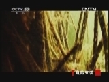 地理中国 《地理中国》 20121216 危险来袭