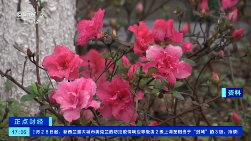 《正点财经》 20210301 17:00
