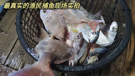 南澳岛赶海日记 实拍真实的渔民放网捕鱼现场，彪哥直呼太难了，外海捕鱼太辛苦了