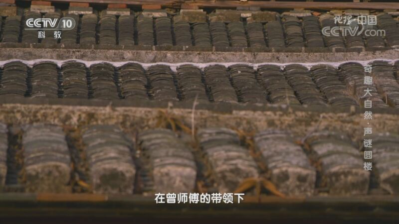 地理中国 《地理·中国》 20201122 奇趣大自然·声谜圆楼