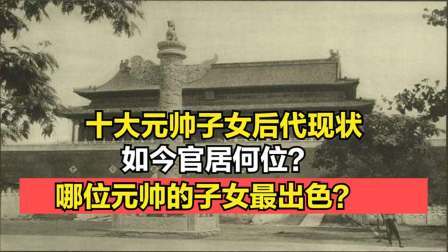 史记文学社第三季 十大元帅子女后代现状，如今官居何位？哪位元帅的子女最出色？