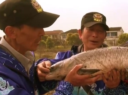 涉钓英雄传 传统长竿狩巨物