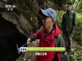地理中国 《地理中国》 20180722 聊天说地·寻踪“野猪林”（下）