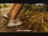 地理中国 《地理中国》 20130610 孤岛奇案
