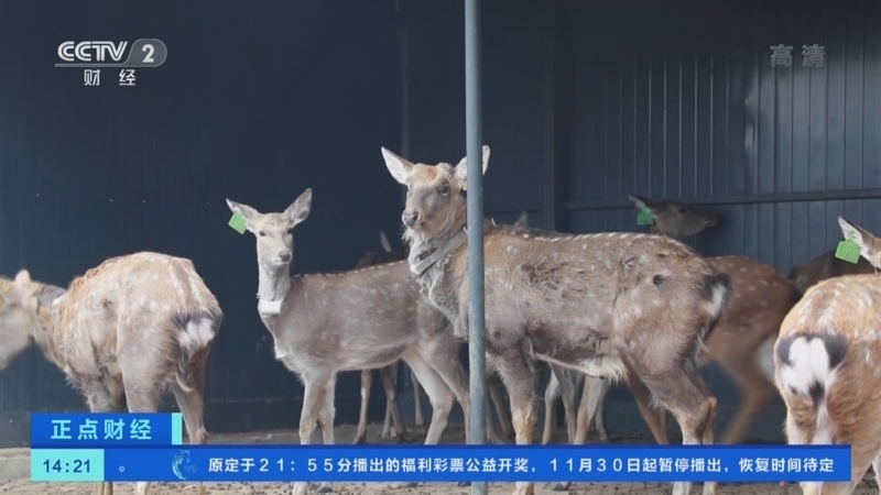 正点财经 《正点财经》 20221201 14:00