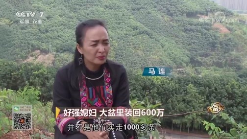致富经 [致富经]好强媳妇 大盆里装回600万 20190318