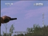 走近科学 《枪王之王》标清版 手枪决胜