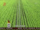 全省新闻联播 《全省新闻联播》 20160810