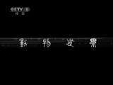 动物世界 动物世界 2011年 第40期
