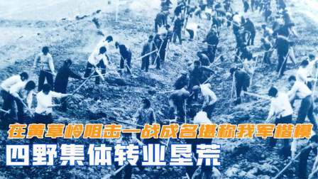 史记文学社第三季 四野集体转业垦荒，却在黄草岭阻击战一战成名，堪称我军楷模