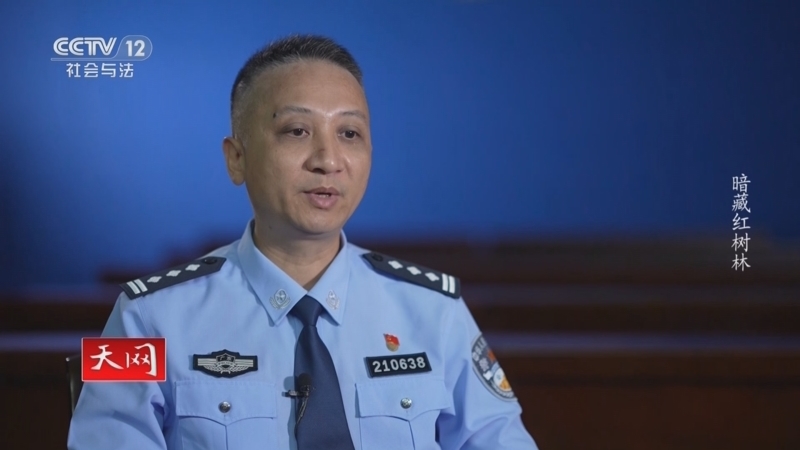 天网 《天网》 20240904 暗藏红树林