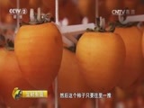 生财有道 《生财有道》 20161109 咱们家乡有特产——陕西富平：柿子红了 农民笑了