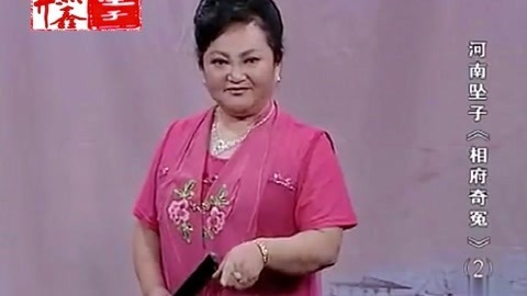河南坠子 河南坠子 相府奇冤 二部