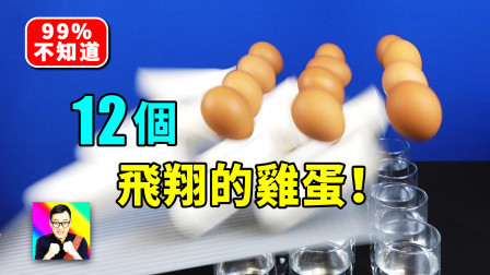 酷爱娱乐 第一季 这12个飞翔的鸡蛋结局会是怎样的？