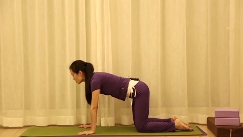 芝士妈妈孕育课堂