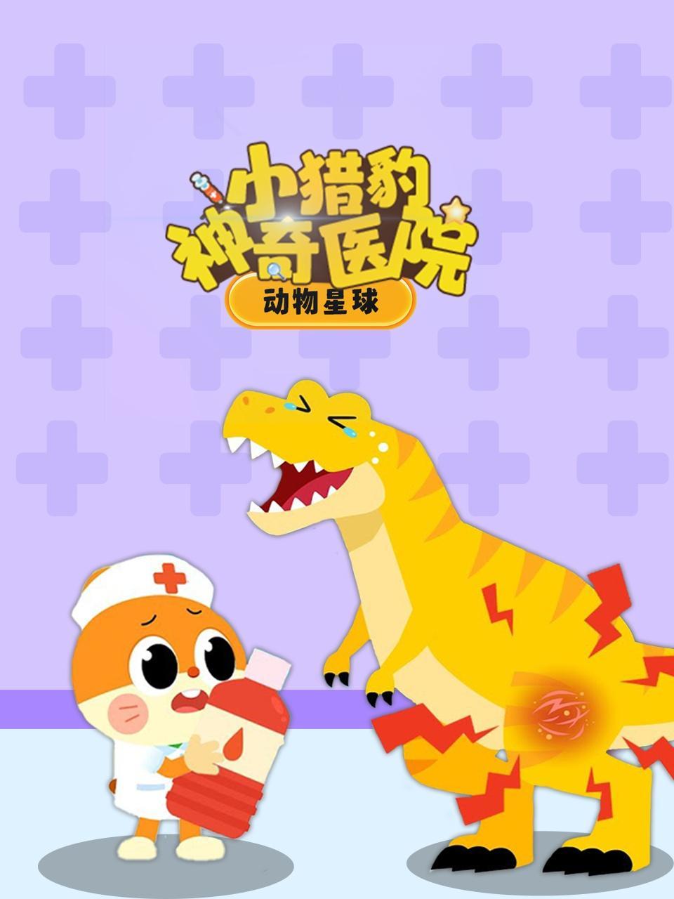 动物星球 小猎豹神奇医院