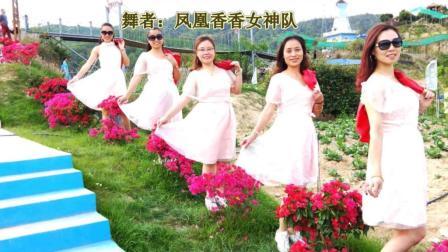 凤凰香香广场舞 《花儿哪有阿妹俏》原创编舞