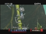 说人说事说动画