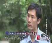 今日说法 《今日说法》 20140818 少女被“强奸”之后