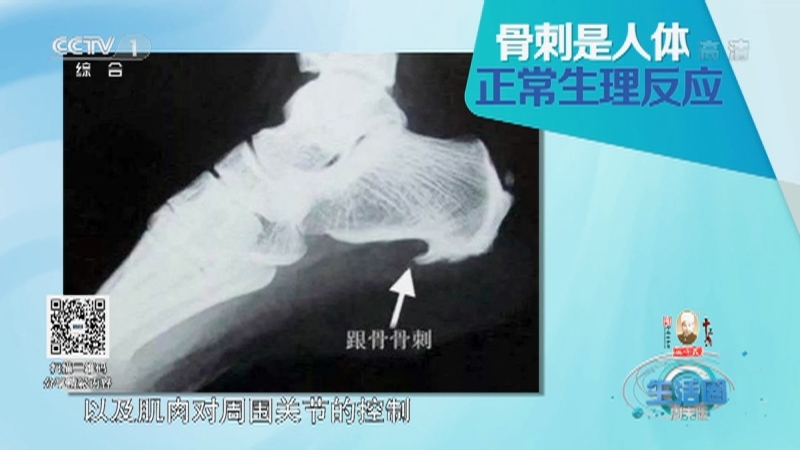 生活圈 《生活圈》 20201226