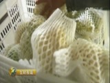 生财有道 《生财有道》 20160913 贵州道真：菜里生金