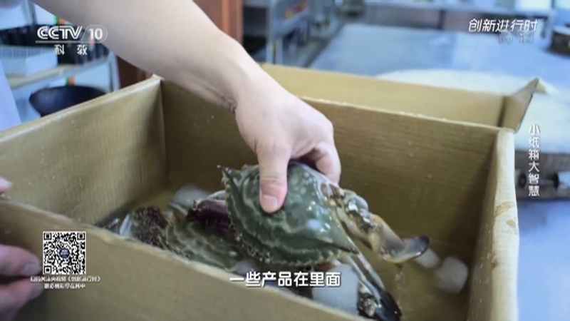《创新进行时》 20210223 小纸箱大智慧