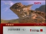自然传奇 大自然的猜想（七）[自然传奇] 20120309